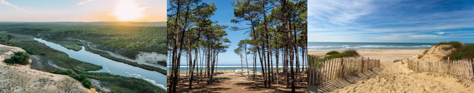 Paysages de la Haute-Lande